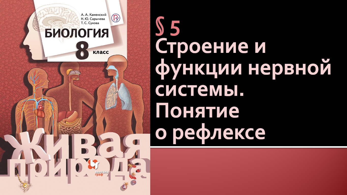 Параграф 5. Строение и функции нервной системы. Понятие о рефлексе