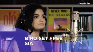 BIRD SET FREE (SIA)