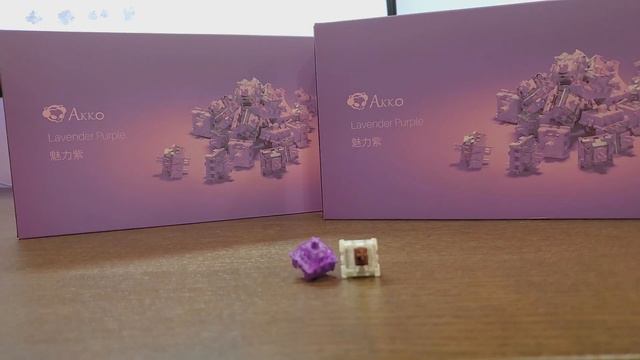 Budget Tactile KING!?!?....Akko CS Lavender Purple Tactile Switch Review смотреть онлайн