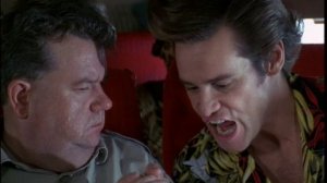 Звуки дикой природы