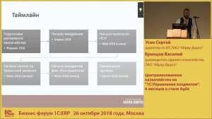 Проект автоматизации централизованного казначейства ПАО "Абрау-Дюрсо"