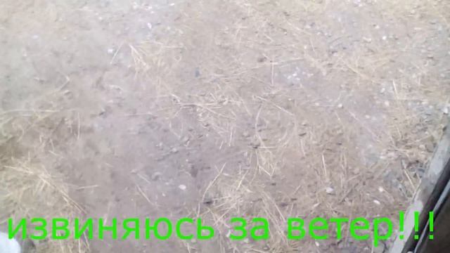 крольчиха готовится к окролу и новый питомец!!! смотреть онлайн