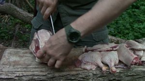 Бушкрафт - нож для туризма и бушкрафта от фирмы Уральский Мастеровой .Выживание .Тест №95