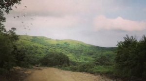 Бухта Астафьева, Приморский край. по платной дороге.