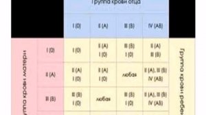 как построить дом своими руками из шлакоблока