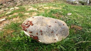 ЮЖНАЯ ОСЕТИЯ, или путешествие в Государство Алания.