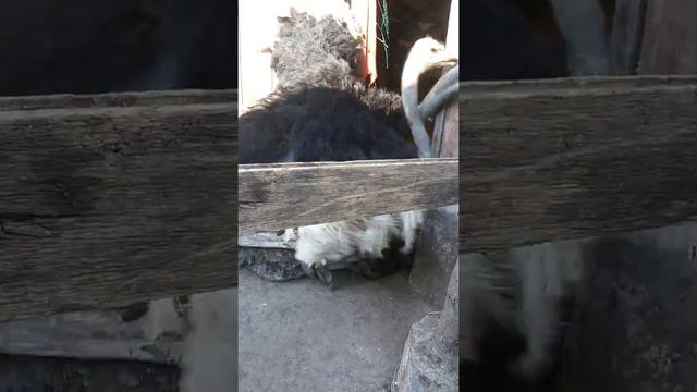 Это время называется Весна! смотреть онлайн