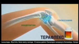 Жарнама Терафлекс (2013)