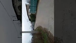 Езда на мотоблок с передним адаптером