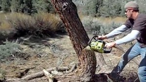 Chain Saw