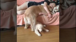 Клип сообщества МЕМЫ