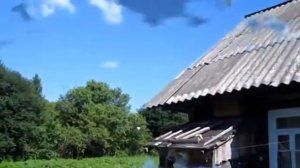 Как пчелы нашли ловушку. Прилет бродячего роя в ловушку.