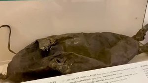 Охота эскимосов. Виртуальные экскурсии