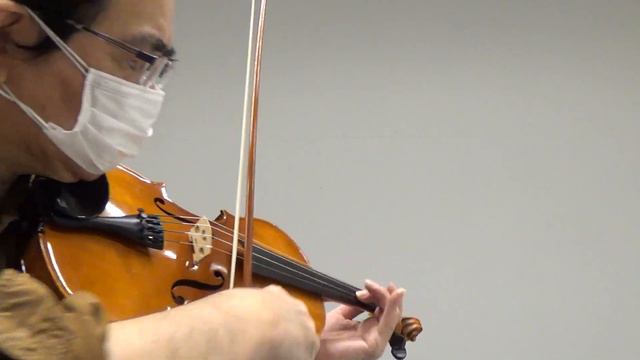 Höfner Violine 23 5 смотреть онлайн