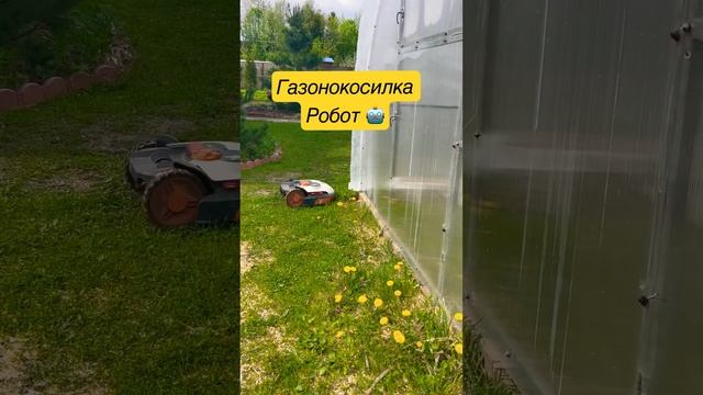 ГАЗОНОКОСИЛКА РОБОТ НА ДАЧЕ #дачныйвлог #стройка #участок #сад #дача #робот #газонокосилка #дом