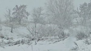 ЛУЧШАЯ ПОКАТУШКА ЗА ЭТОТ ГОД ЗИМОЙ НА КВАДРОЦИКЛАХ #CF-MOTO #brp #aodes