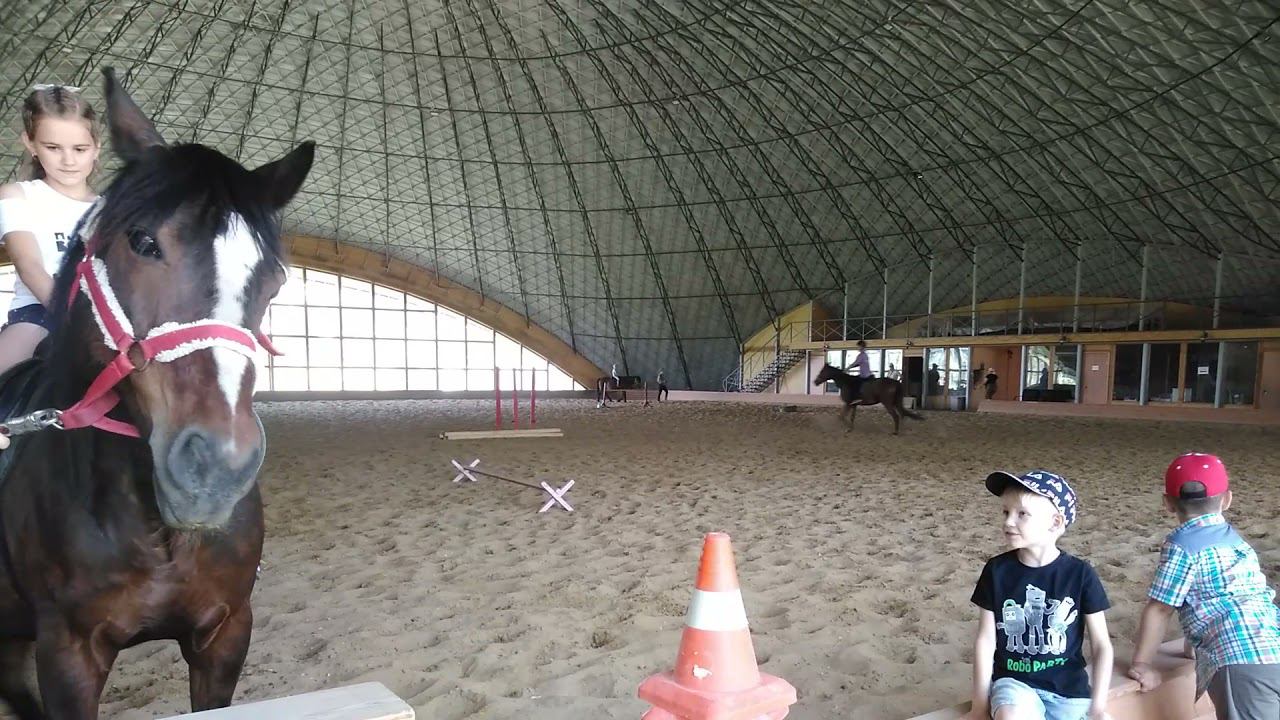 Конный клуб "Воздух" Оренбург 2021 смотреть онлайн