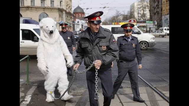 Почему я уволился с Полиции? 10 причин не работать в Полиции смотреть онлайн