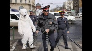 Почему я уволился с Полиции? 10 причин не работать в Полиции