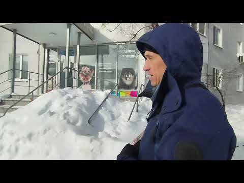 Санкиртана выходного дня Казань 17 02 24 смотреть онлайн