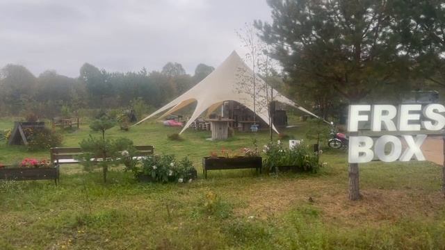 БИЗНЕС ИЗНУТРИ: ЛЕСОСАД ЕВГЕНИЯ ЮМА смотреть онлайн