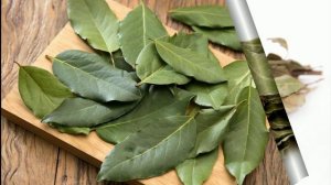 ЛАВР БАРГИНИ ФОЙДАЛИ ХУСУСИЯТЛАРИ