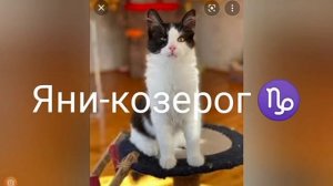 знаки зодиака животных с канала а ну-ка давай-ка кто любит этот канал подписывайтесь и ставьте лайк