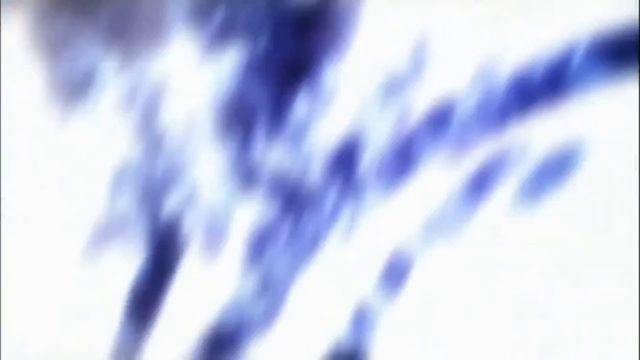 Хвост Феи смотреть онлайн