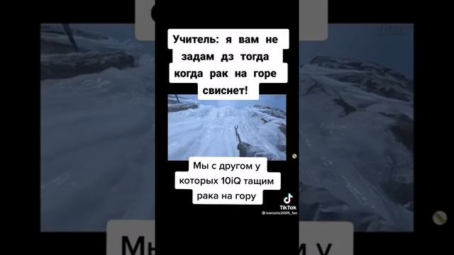 учитель: я вам не  задам Дз  когда рак на горе свиснет!Мы с другом у которых 10iQ тащим рака на гор