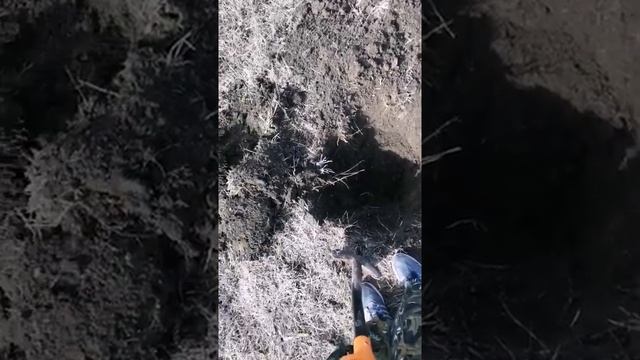 Коп в Азовском районе. Нашел крутую монету)
