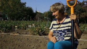 Как посадить ИТО-пион Бартзелла? / Сад Ворошиловой