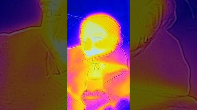 Testing a Smartphone Thermal Camera