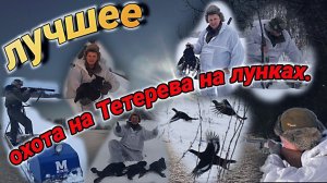 Лучшие моменты!!! Зимнего сезона охоты на Тетерева на лунках.