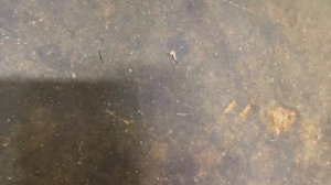 Китайский fcr 40 настрой или умри