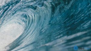 Почему морская вода смертельно опасна, если её пить?