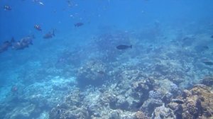 Ellaidhoo Maldives by Cinnamon