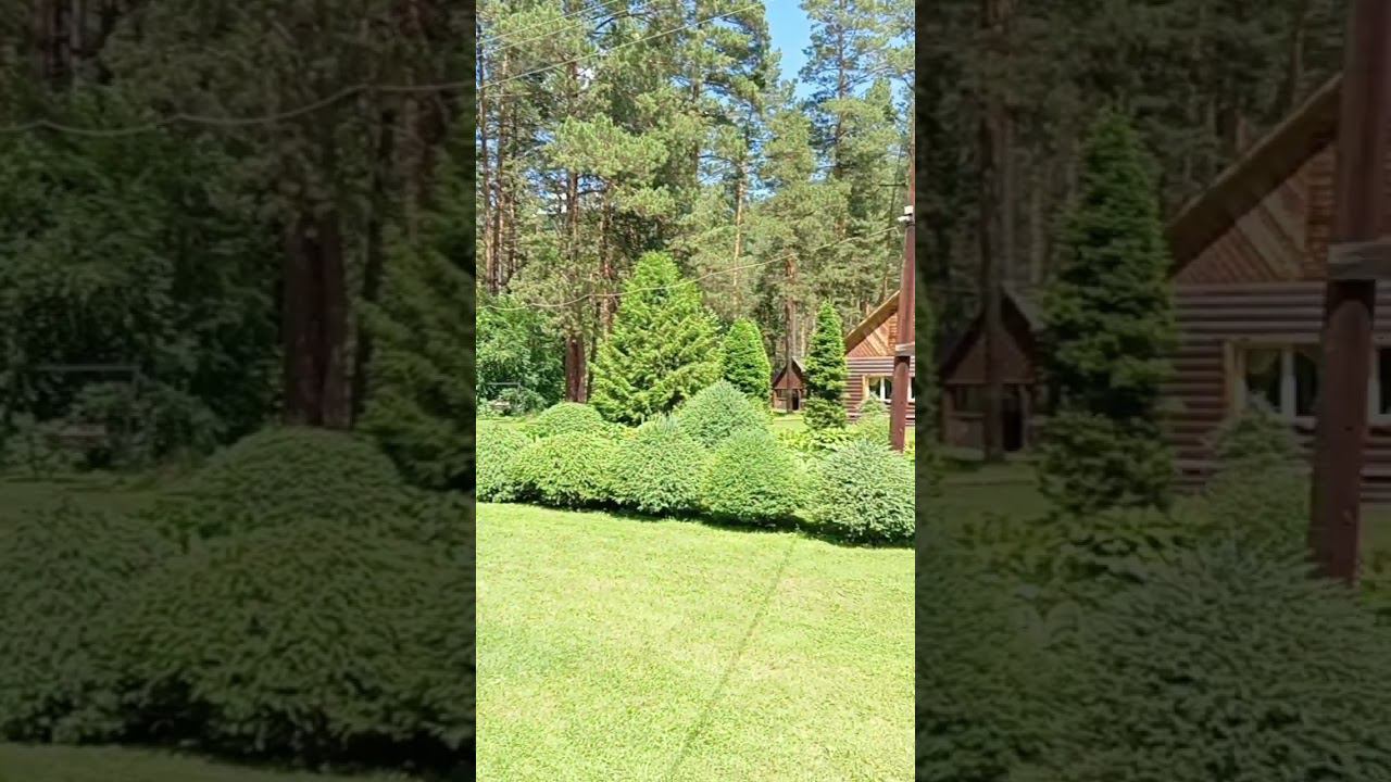 гуляем по алтаю ботанический сад очень красиво смотреть онлайн