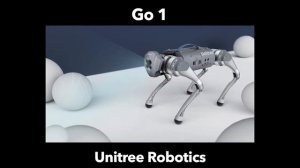 Unitree Go 1: The Robot Dog?