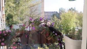 VLOG: Родственные связи  // 06.10.2018