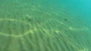 Подводная съемка, камера Sony HDR-AS200V апгрейд аквабокса .