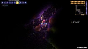 Террария Стилист (2023) | NPC  Стилист Террария (2023) | Как найти Стилист в Террарии