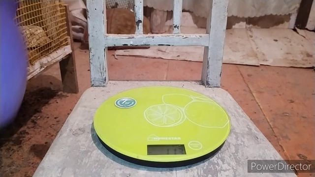 400р против2000т.р выращивание бройлеров в домашних условиях! мои бройлеры моя деревня смотреть онлайн