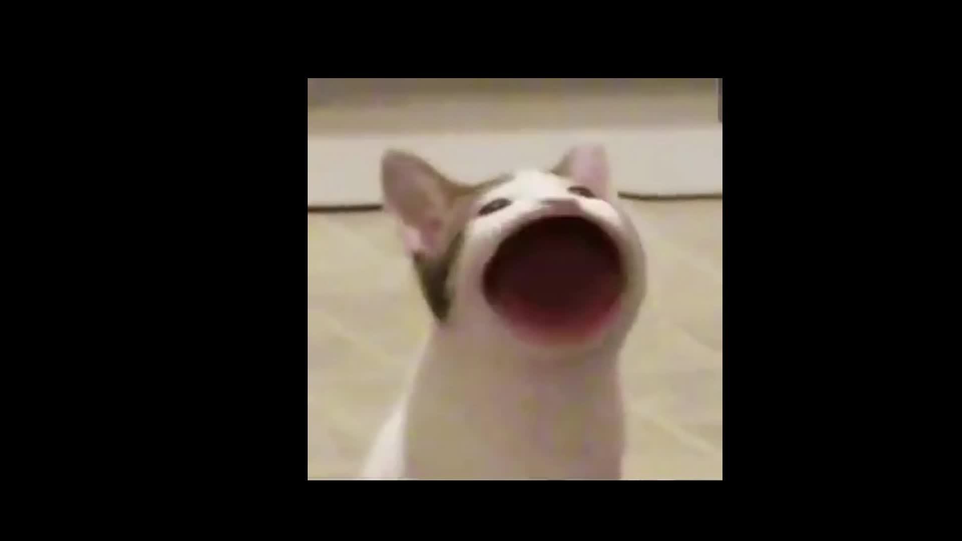 тест1