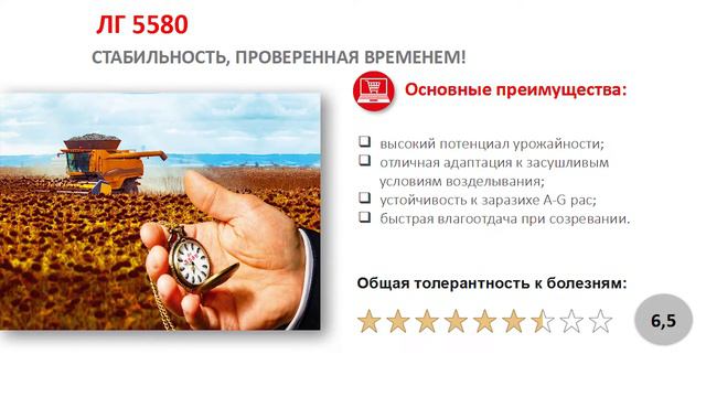 Обзор гибрида ЛГ 5580 / Гибрид подсолнечника