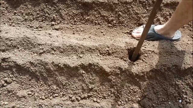 Посадка картофеля с помощью лома смотреть онлайн