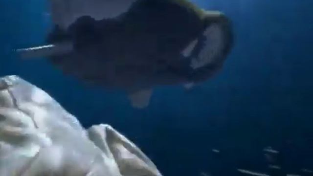 Ariston Aqualtis Commercial смотреть онлайн