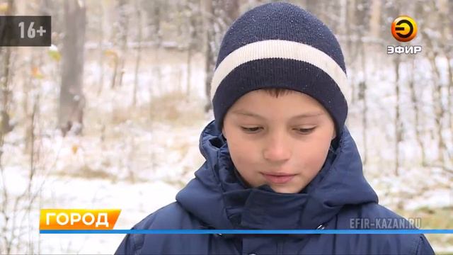 В поселке Мирный местные жители организовали генеральную уборку березовой рощи смотреть онлайн