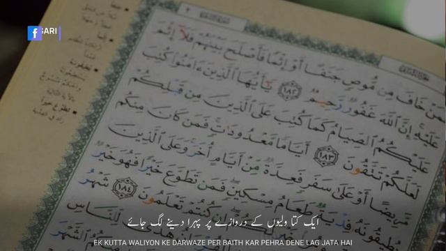 Beautiful Islamic WhatsApp Status | Hidayat Ki Kitab Hai | Book Of Guidance | Saqib Mustafai смотреть онлайн