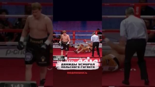 Поветкин дваждый усмирил польского гиганта!