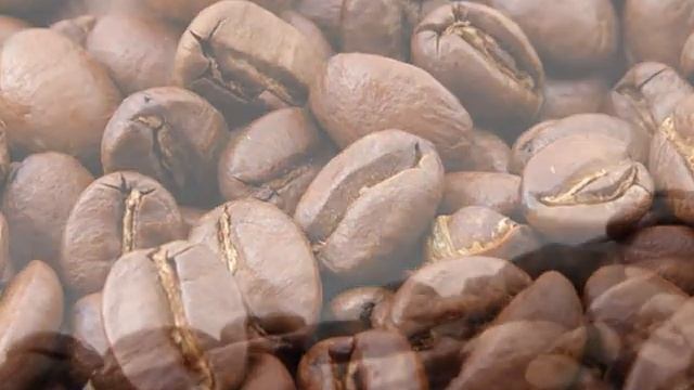 А вы знали что КОФЕ содержит 800 ароматических соединений! смотреть онлайн